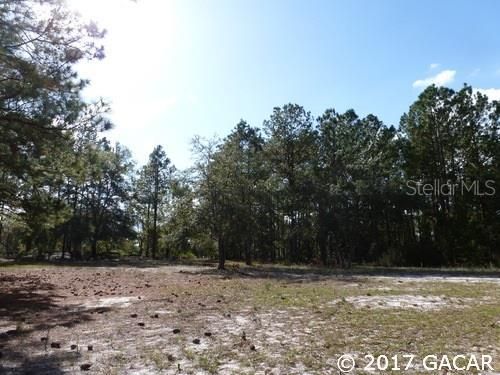 Recently Sold: $15,900 (0.81 acres)