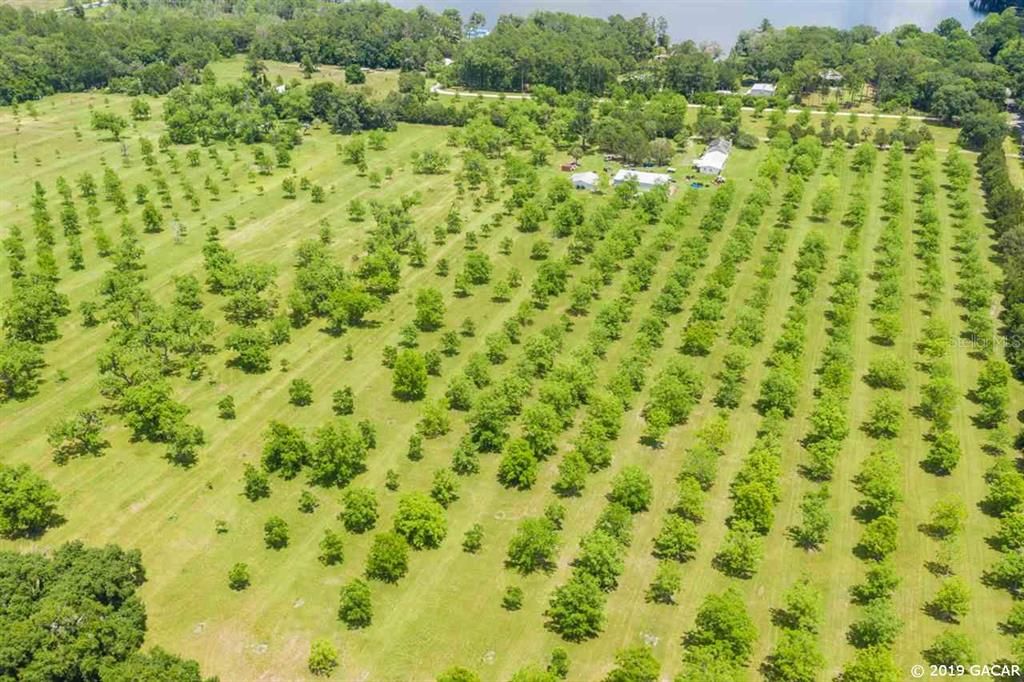 Recently Sold: $1,100,000 (3 beds, 1 baths, 1362 Square Feet)