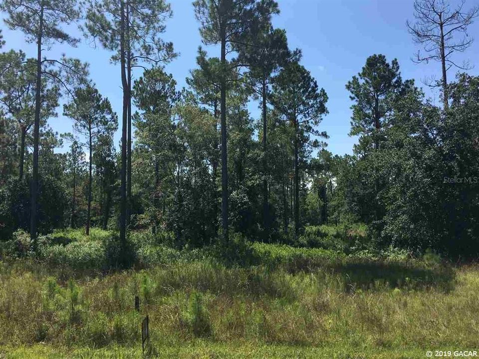 Recently Sold: $29,900 (6.10 acres)