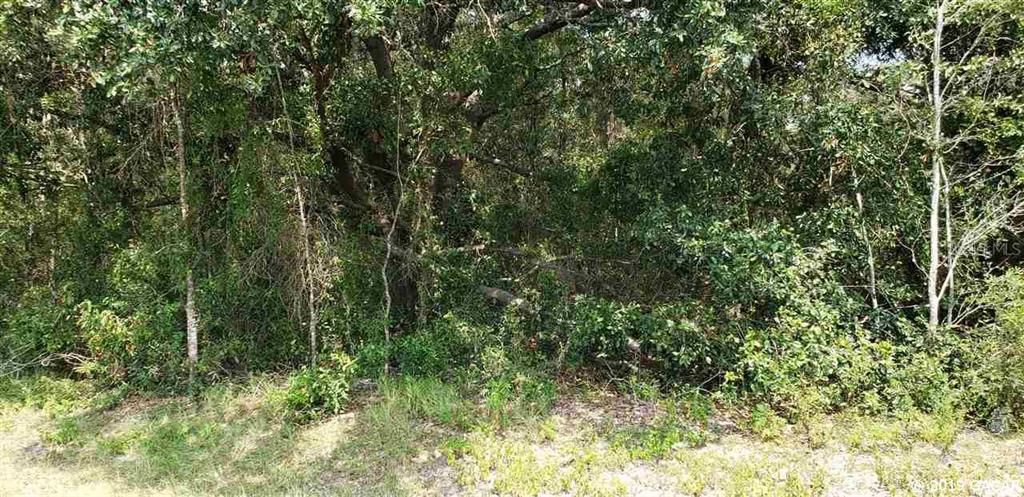 Vendido Recientemente: $69,900 (5.00 acres)