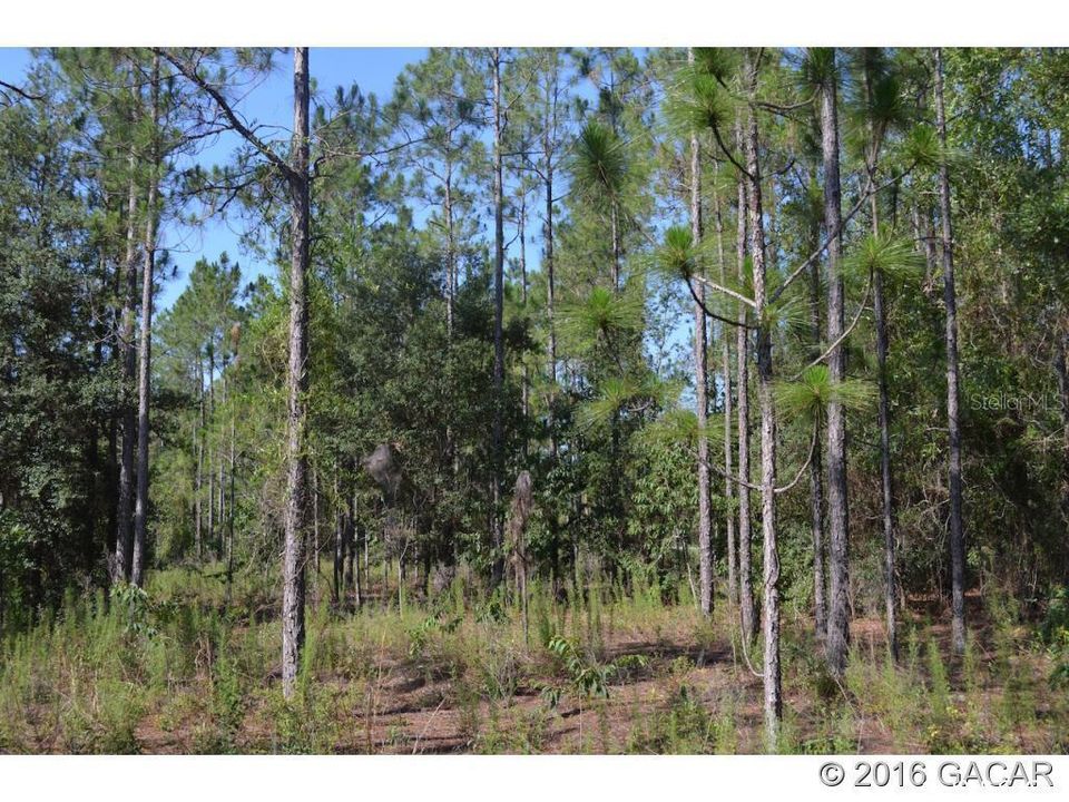 Recently Sold: $65,000 (7.56 acres)