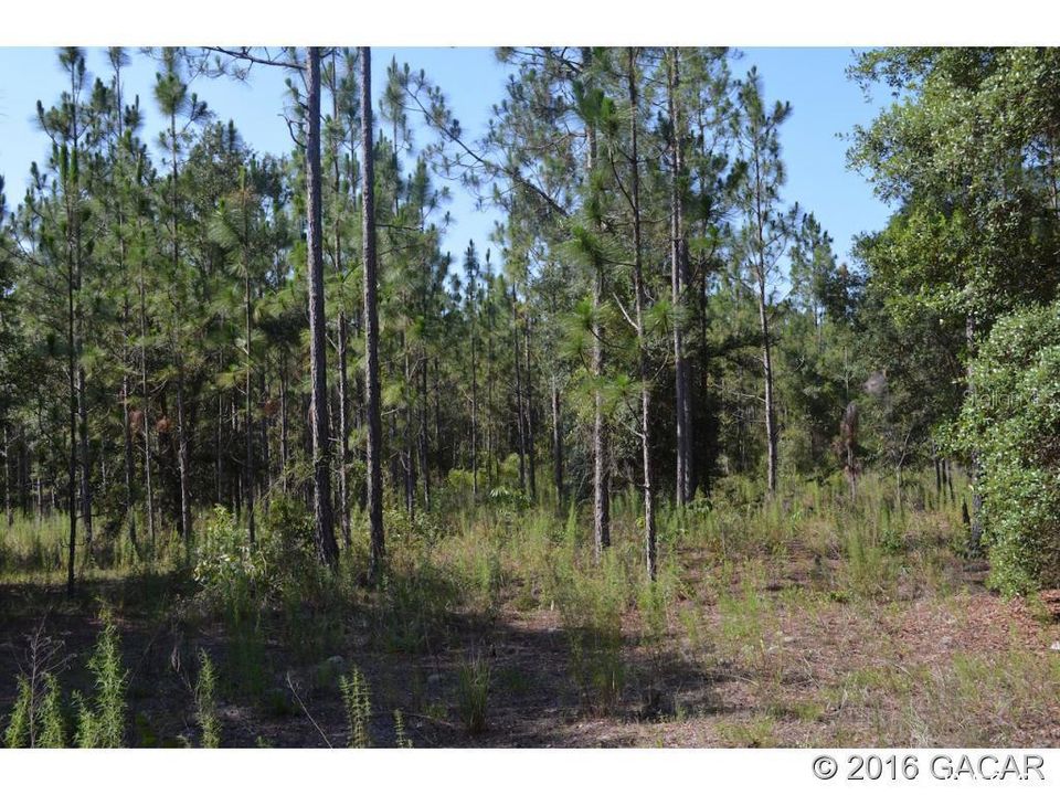 Recently Sold: $65,000 (7.56 acres)