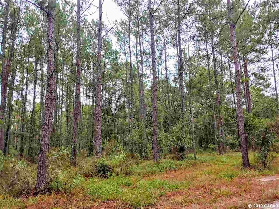 Recently Sold: $5,500 (1.25 acres)