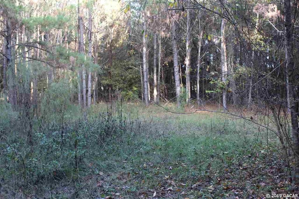 Recently Sold: $75,000 (10.02 acres)