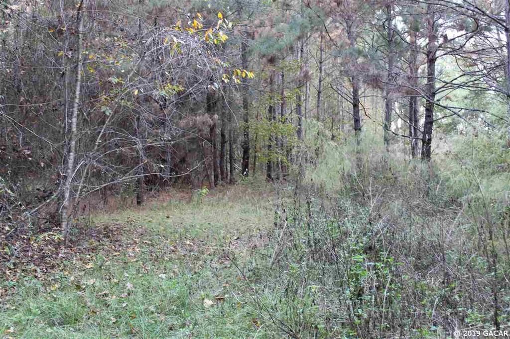 Recently Sold: $75,000 (10.02 acres)