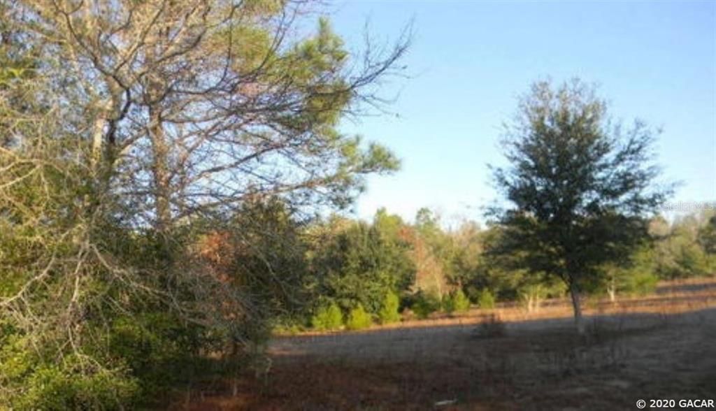 Recently Sold: $29,900 (4.57 acres)