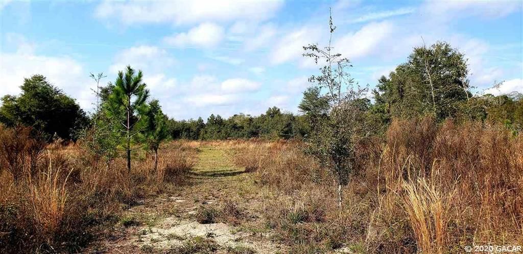 Recently Sold: $175,000 (50.00 acres)