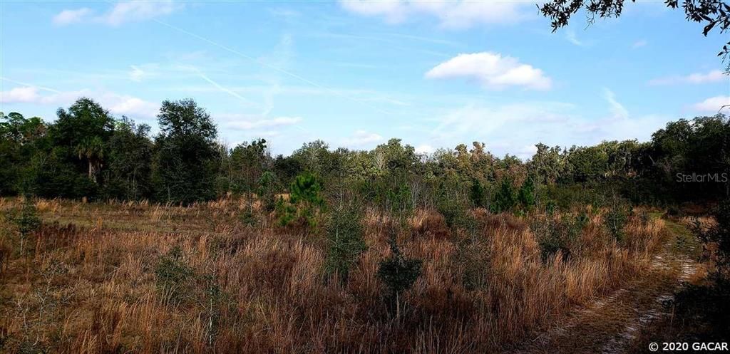 Recently Sold: $175,000 (50.00 acres)