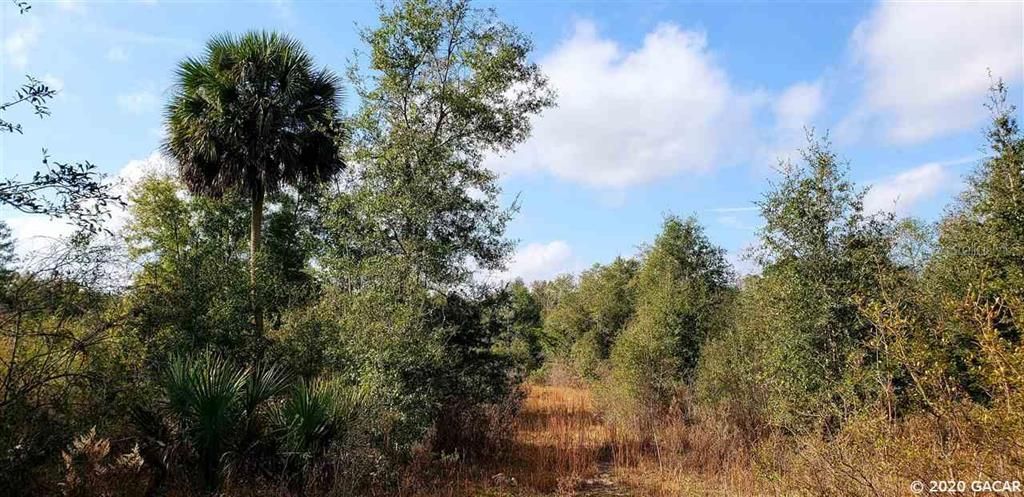 Recently Sold: $175,000 (50.00 acres)