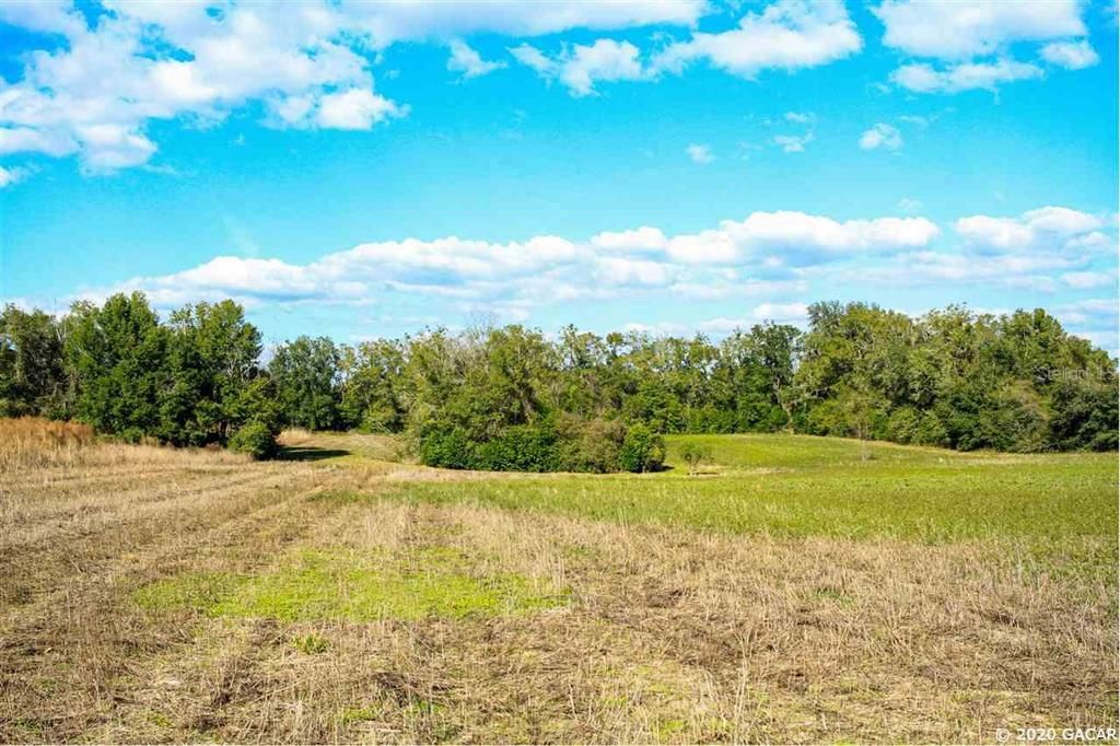 Recently Sold: $80,000 (10.00 acres)