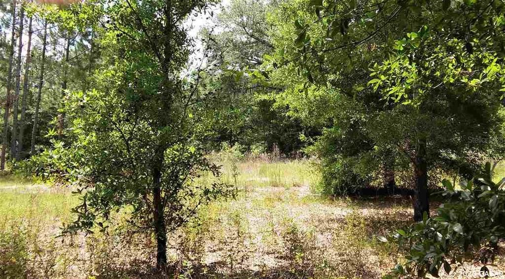 Recently Sold: $59,900 (5.00 acres)