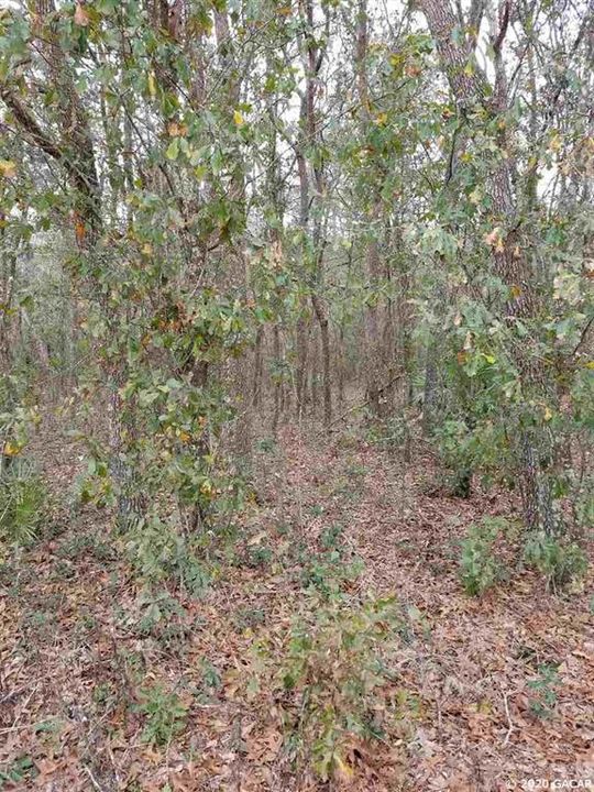 Recently Sold: $74,900 (40.00 acres)