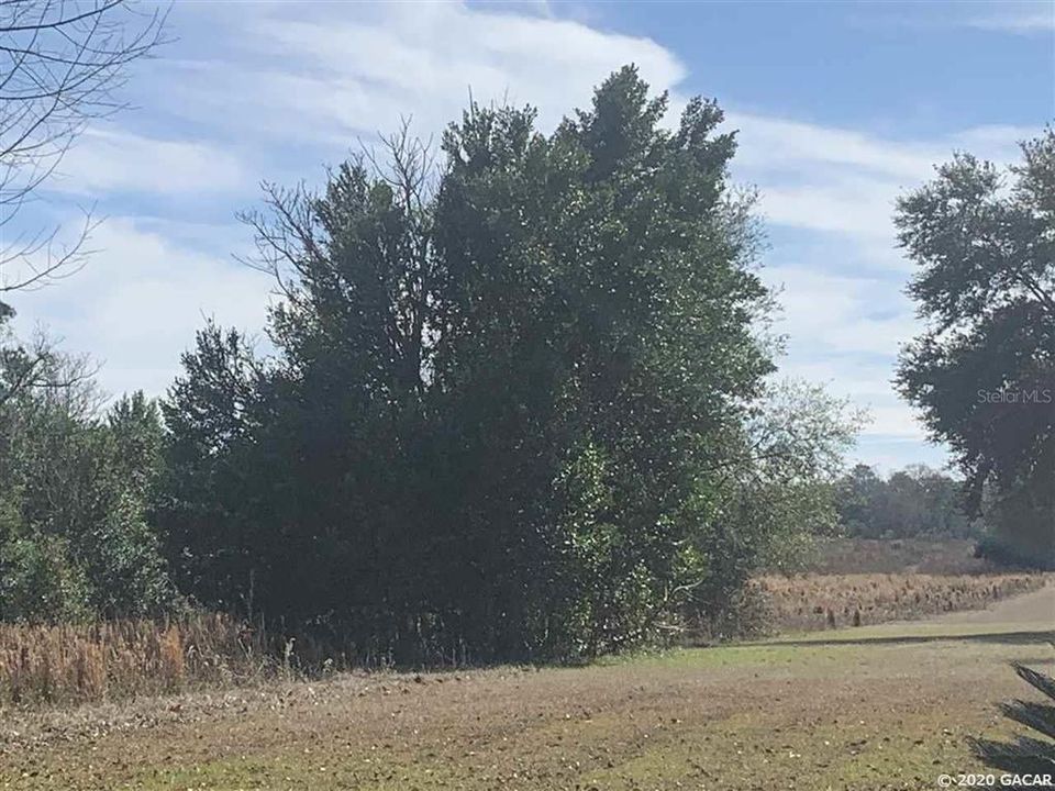 Recently Sold: $52,000 (3.97 acres)