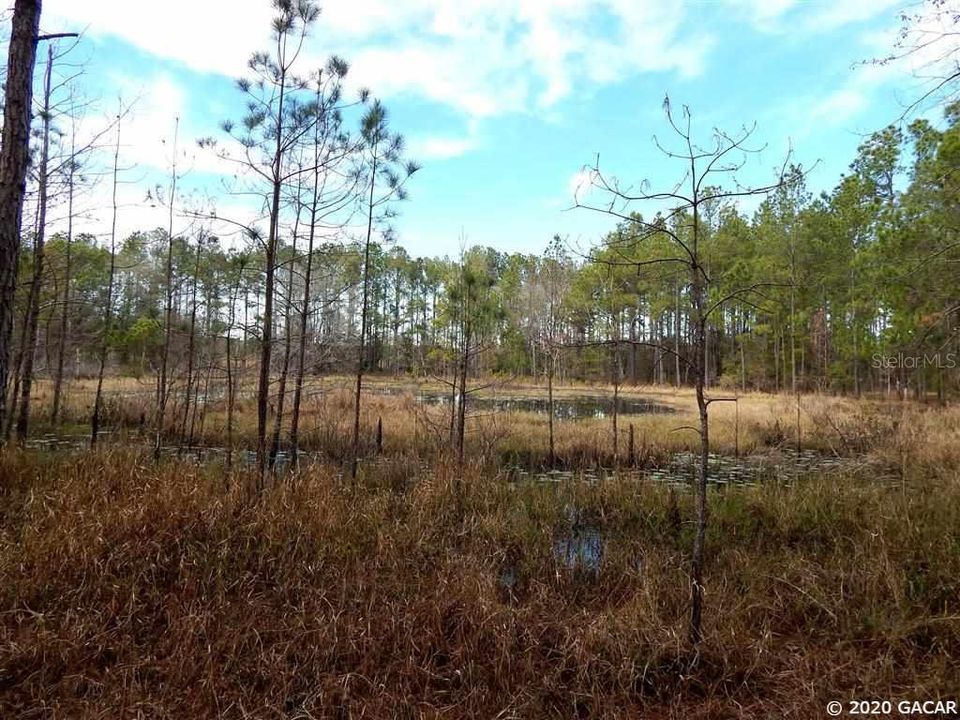Recently Sold: $140,000 (32.40 acres)