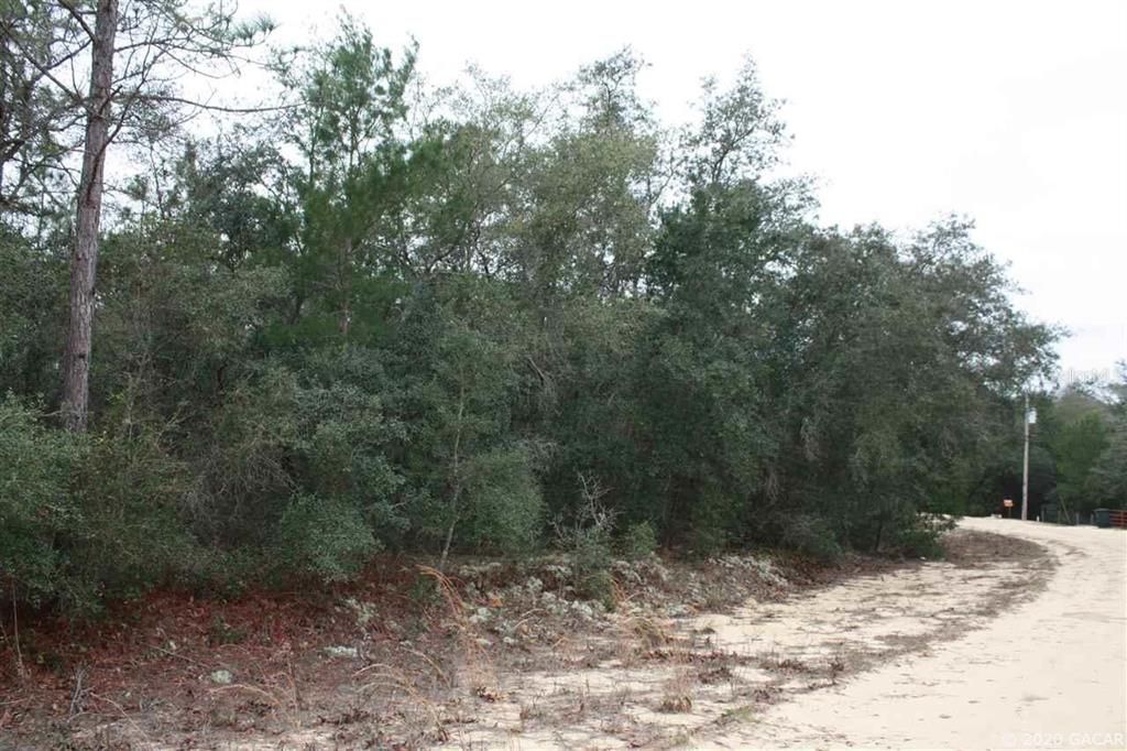 Recently Sold: $8,000 (1.14 acres)