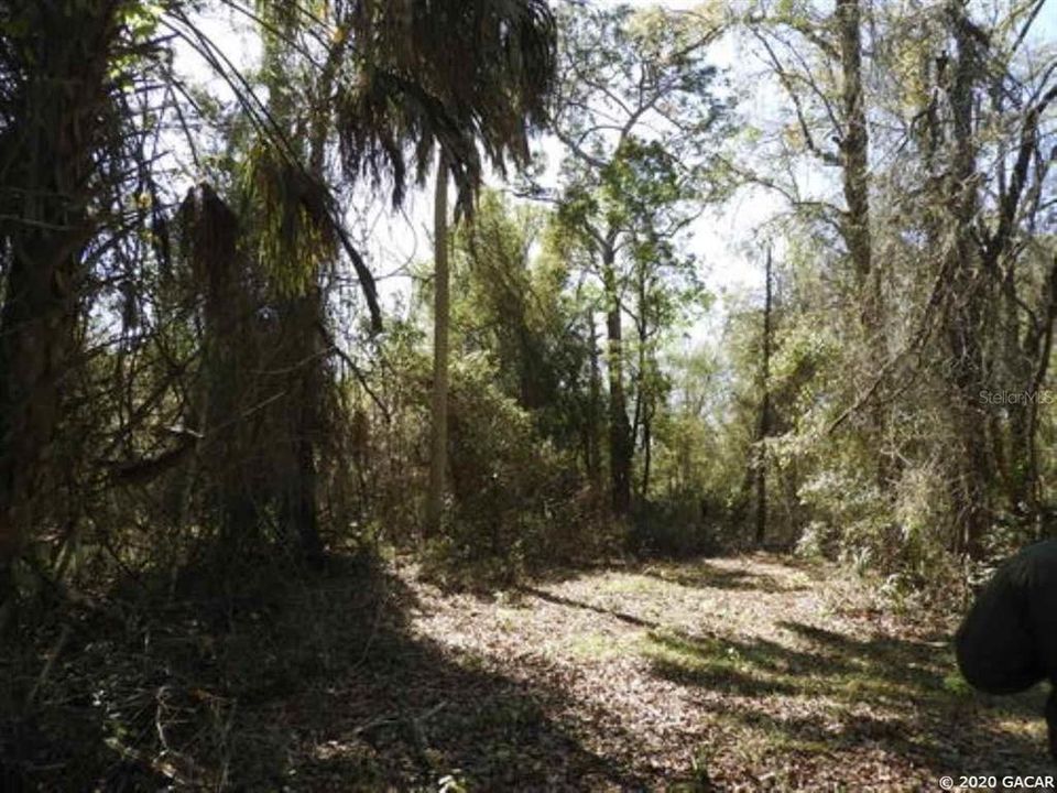 Vendido Recientemente: $75,000 (10.00 acres)