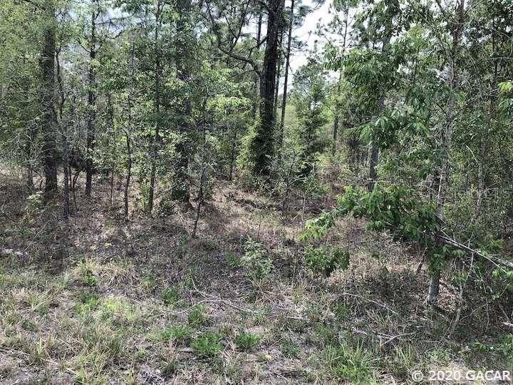 Recently Sold: $7,000 (1.00 acres)