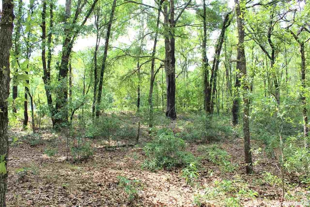 Recently Sold: $50,000 (4.77 acres)