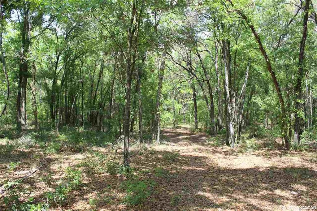 Recently Sold: $50,000 (4.73 acres)