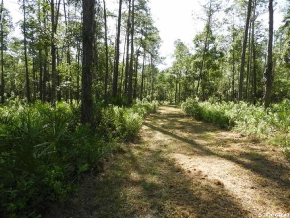 Recently Sold: $36,000 (5.00 acres)