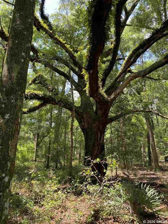 Недавно продано: $130,000 (14.50 acres)