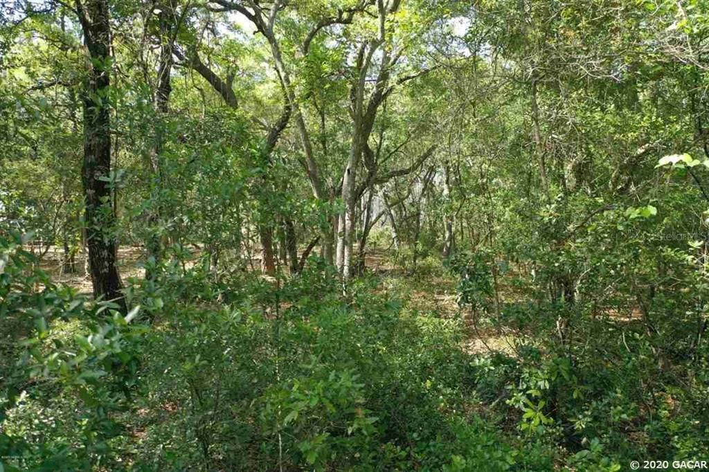Recently Sold: $19,900 (1.10 acres)