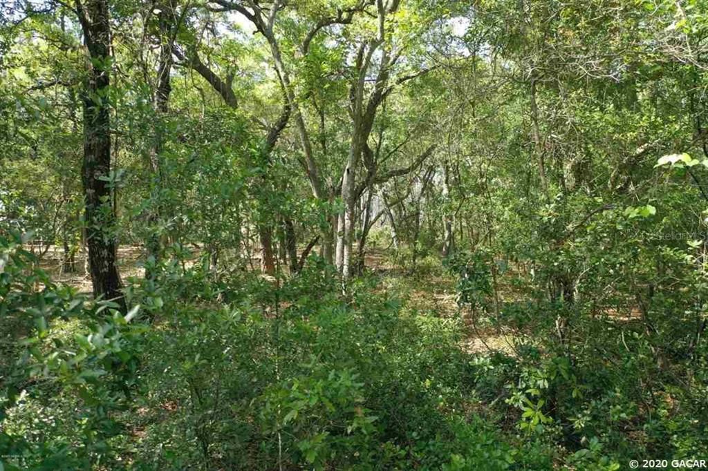 Vendido Recientemente: $19,900 (1.10 acres)