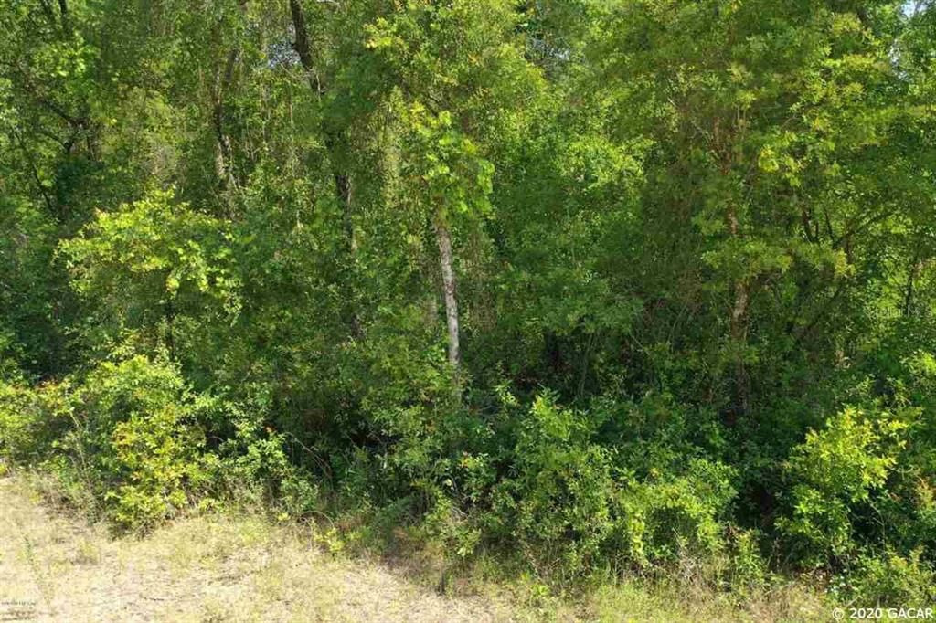 Recently Sold: $39,000 (0.89 acres)