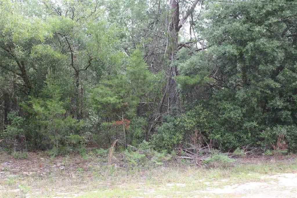 Recently Sold: $7,500 (1.30 acres)