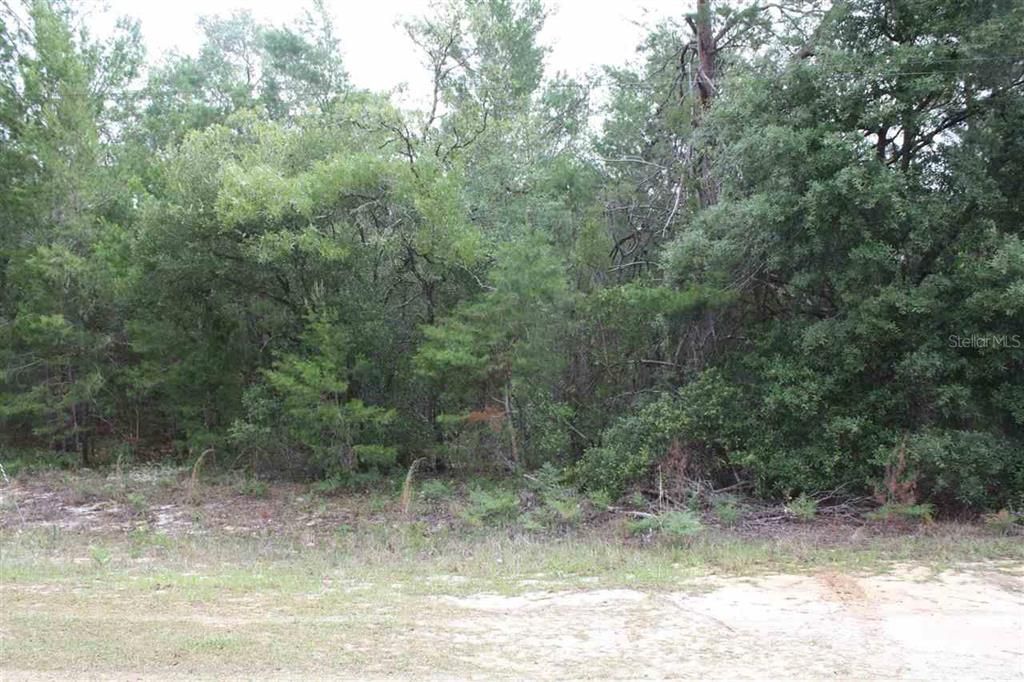 Recently Sold: $7,500 (1.30 acres)