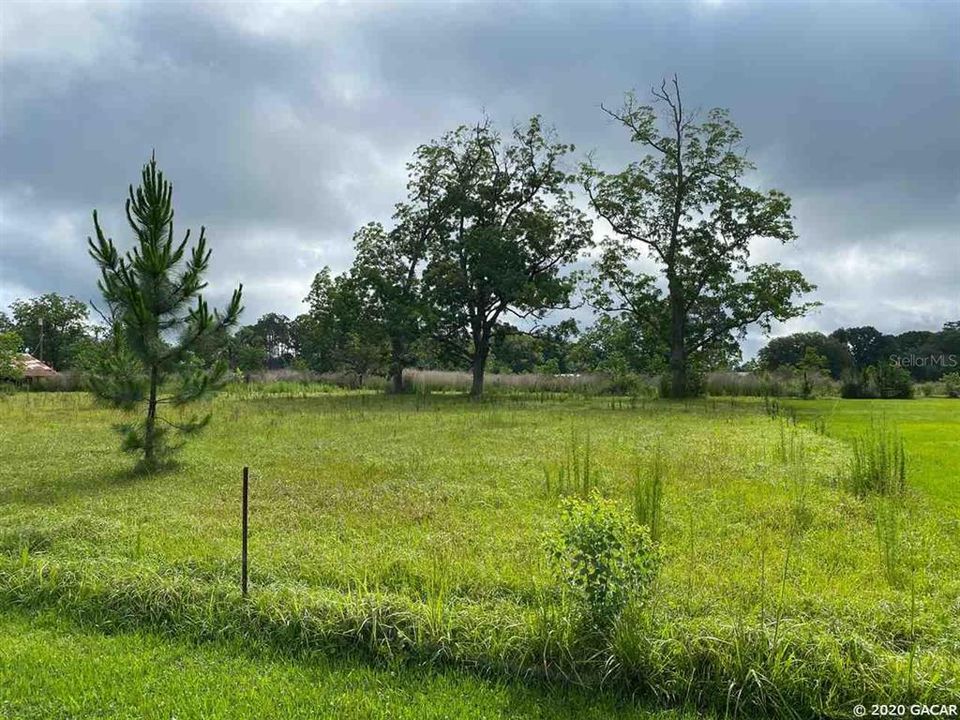 Vendido Recientemente: $34,900 (1.36 acres)