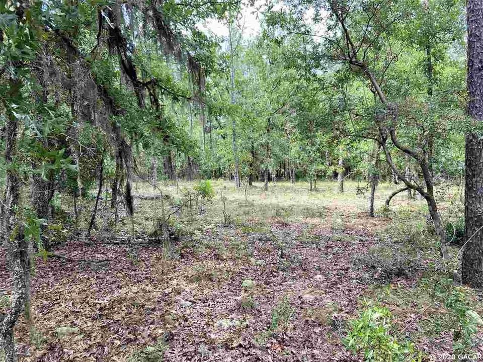 Recently Sold: $50,000 (4.79 acres)