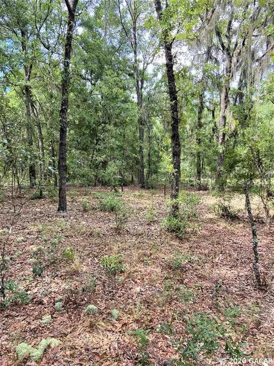 Recently Sold: $50,000 (4.79 acres)