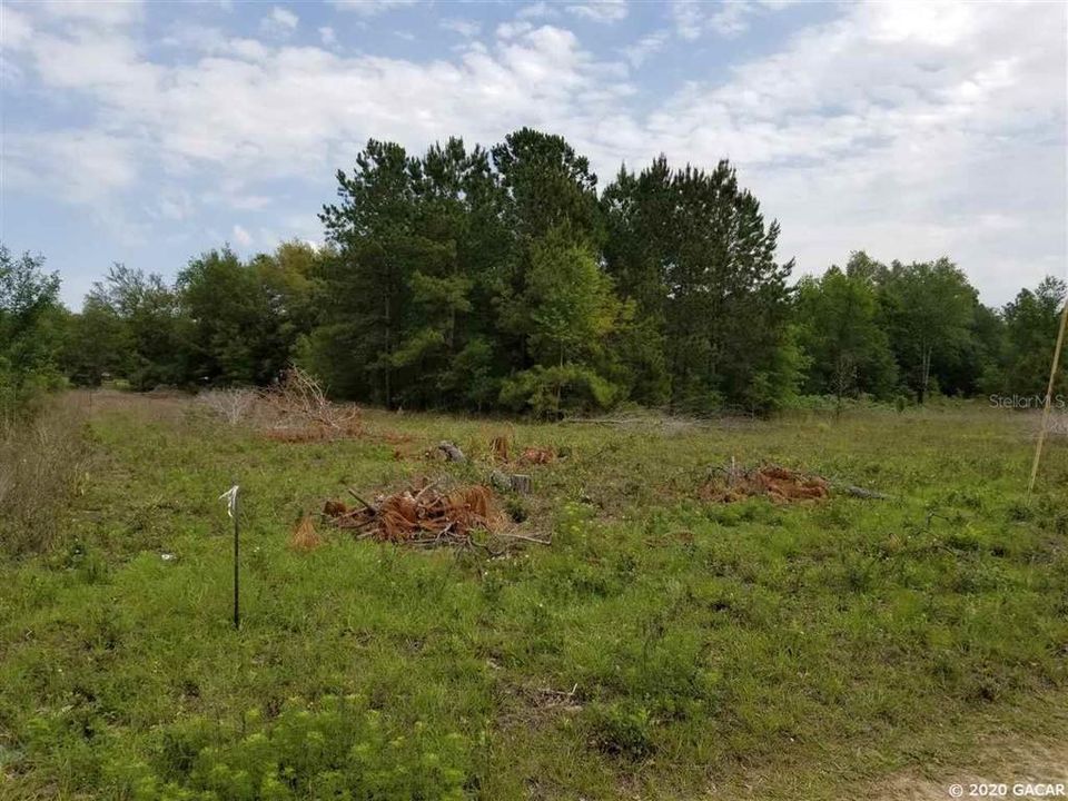 Recently Sold: $8,000 (1.25 acres)