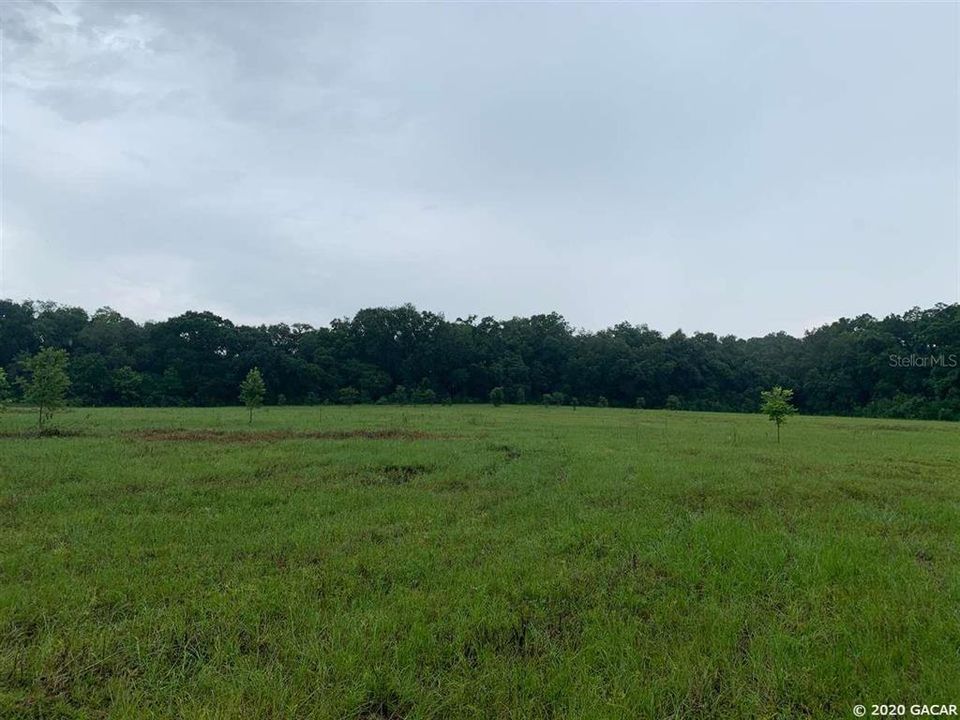 Recently Sold: $100,000 (10.09 acres)
