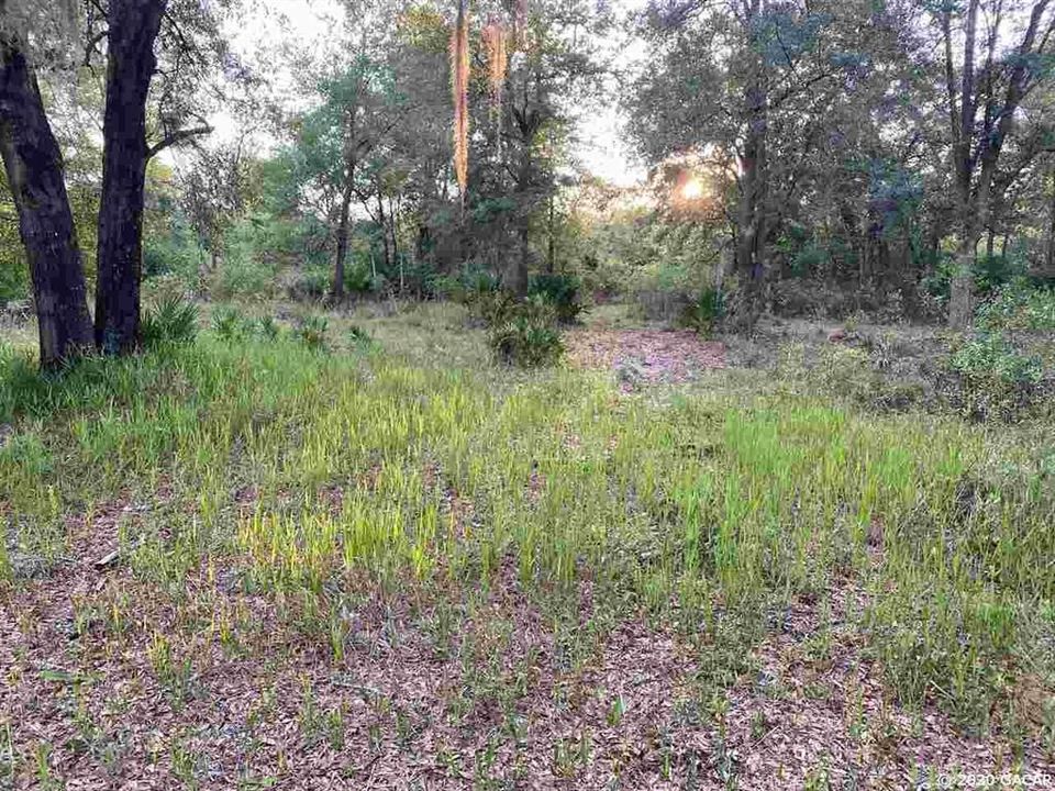 Vendido Recientemente: $74,900 (21.38 acres)