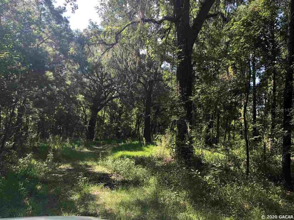 Recently Sold: $79,000 (20.00 acres)