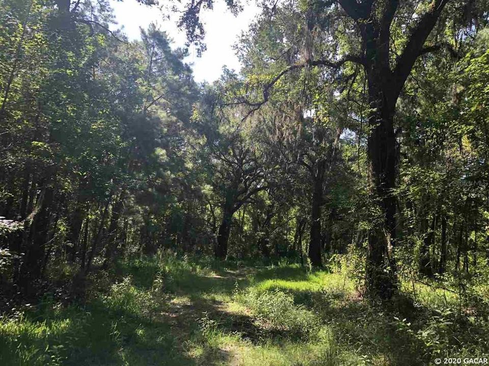 Recently Sold: $162,000 (41.00 acres)