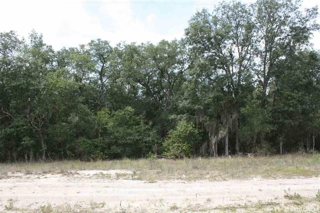 Recently Sold: $10,000 (1.17 acres)