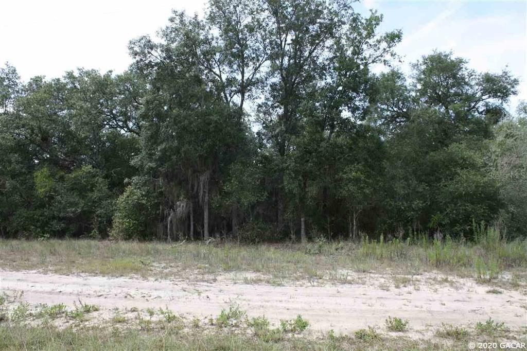 Recently Sold: $10,000 (1.17 acres)
