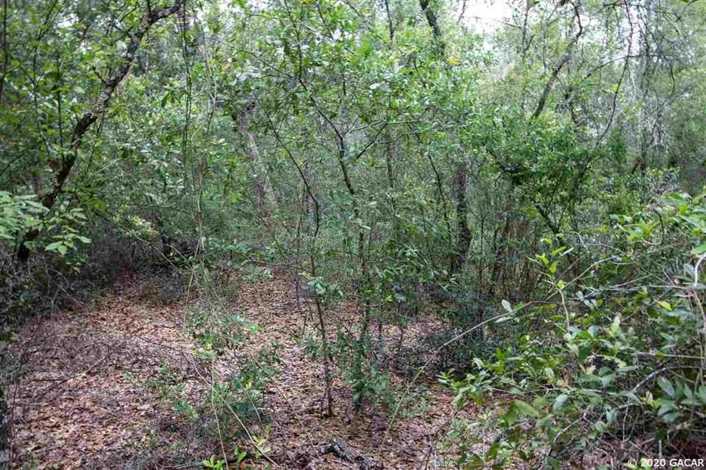 Vendido Recientemente: $24,900 (2.21 acres)