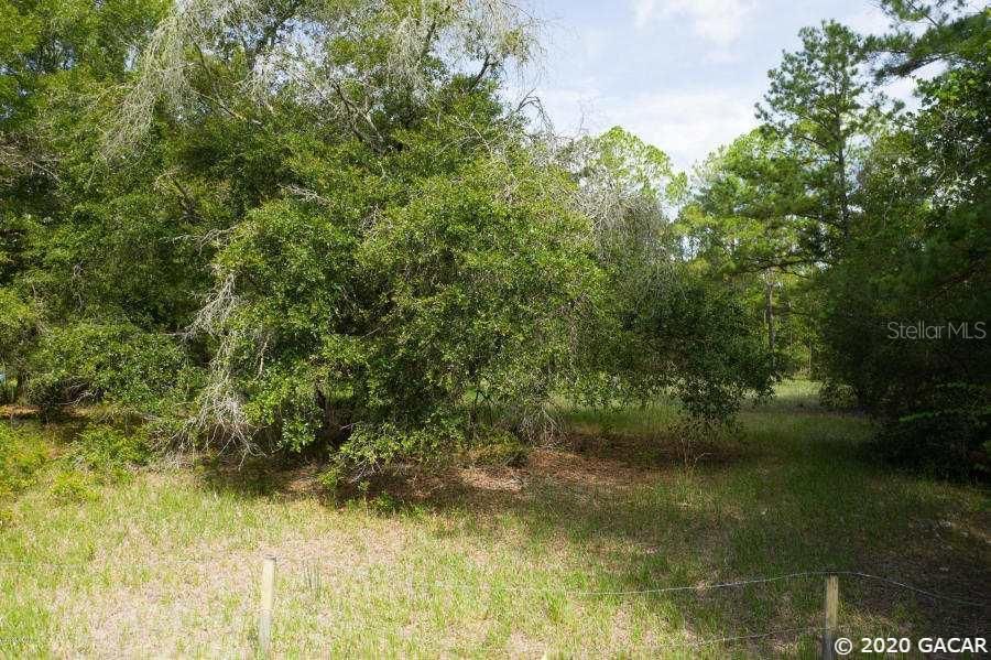Recently Sold: $7,900 (0.81 acres)