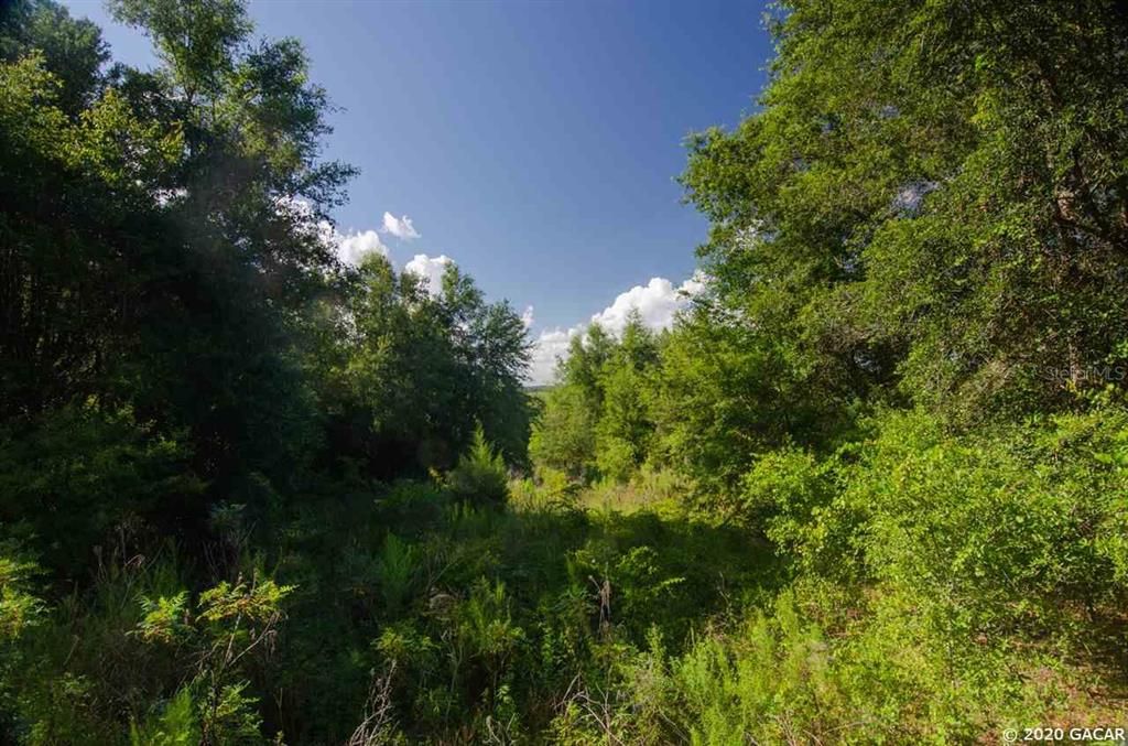 Recently Sold: $13,000 (1.02 acres)