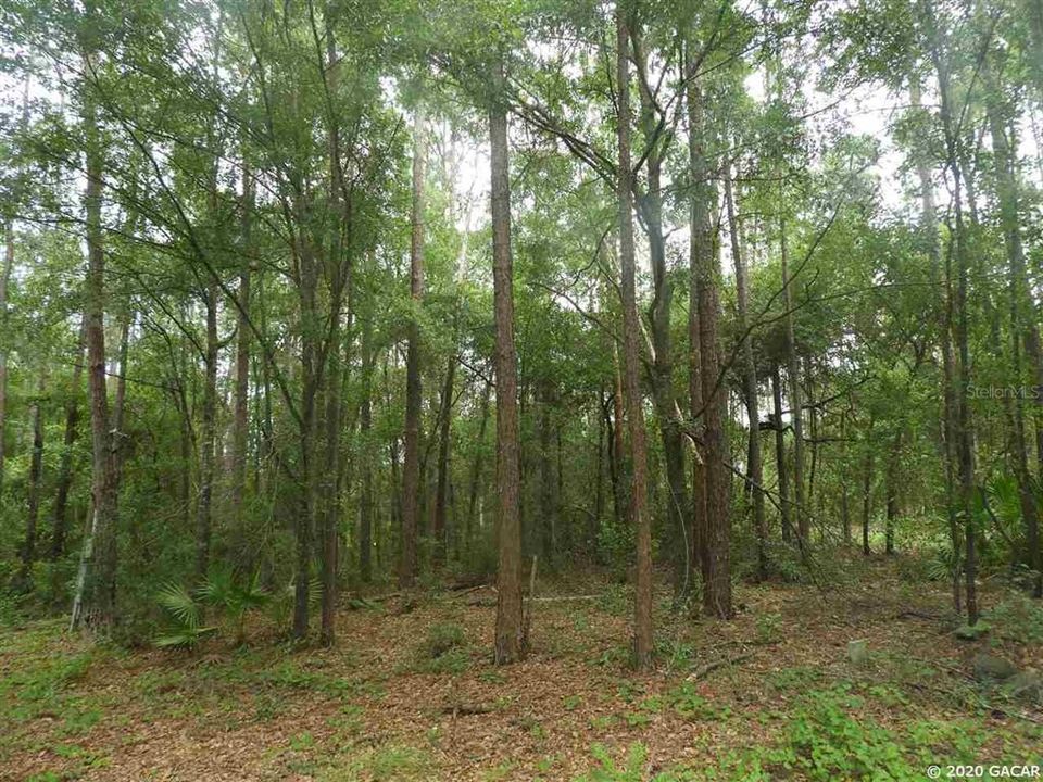 Vendido Recientemente: $14,900 (14.40 acres)