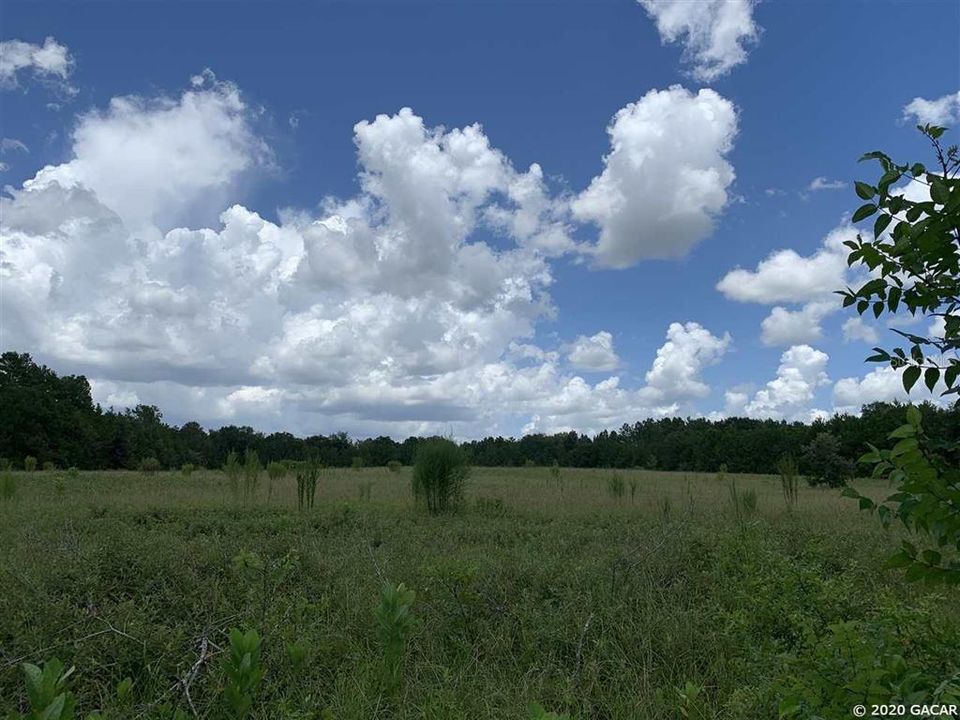 Recently Sold: $130,000 (10.00 acres)