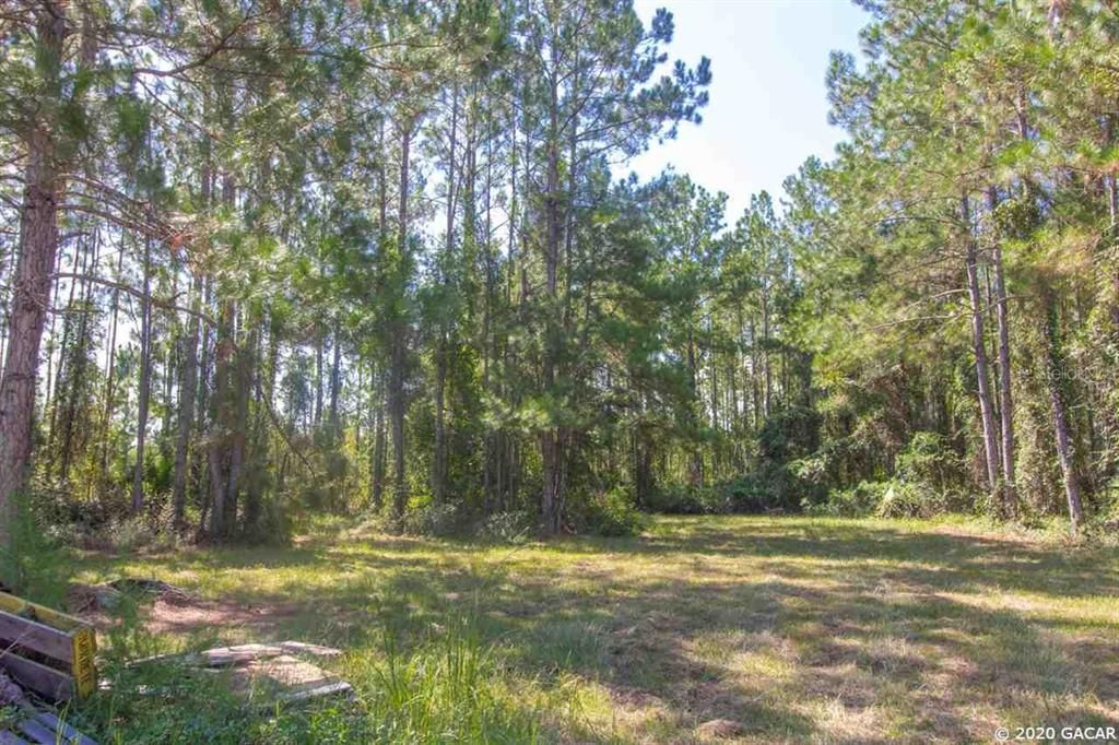 Vendido Recientemente: $399,000 (89.57 acres)