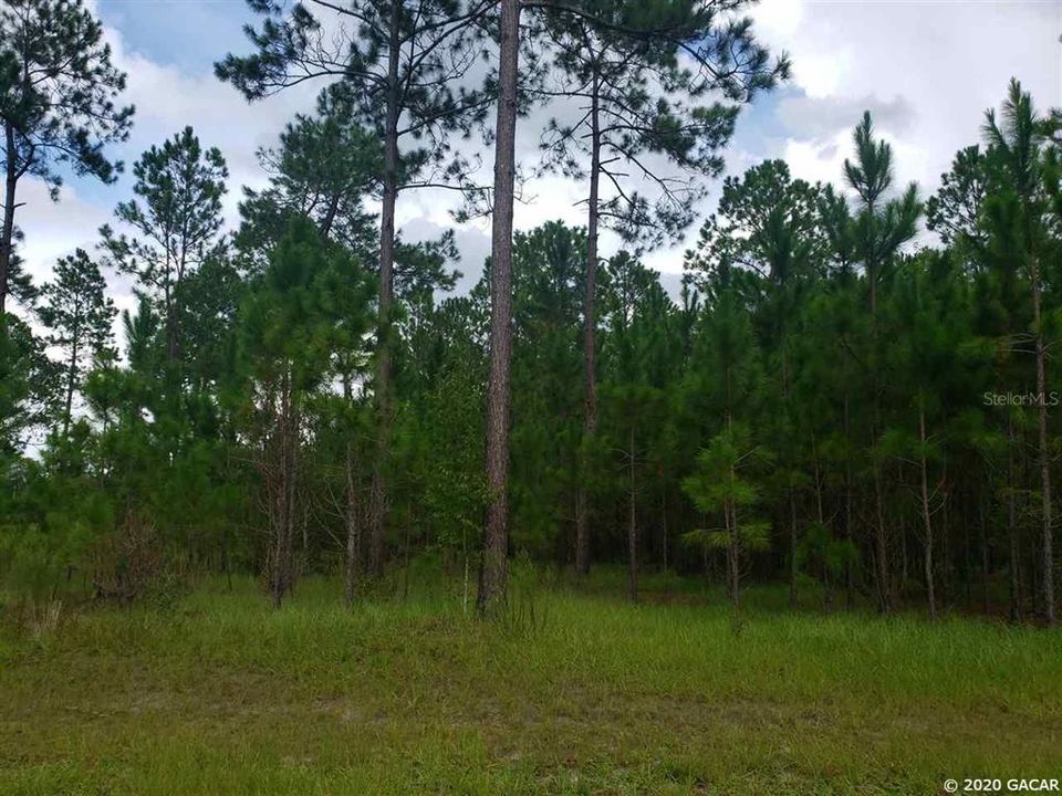 Vendido Recientemente: $34,900 (2.00 acres)