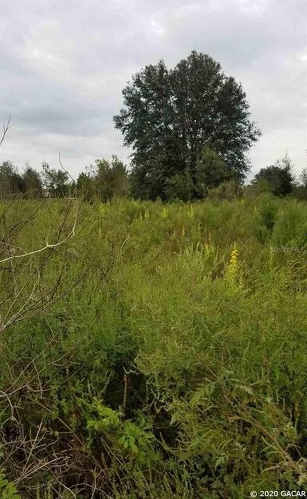 Недавно продано: $62,900 (4.70 acres)