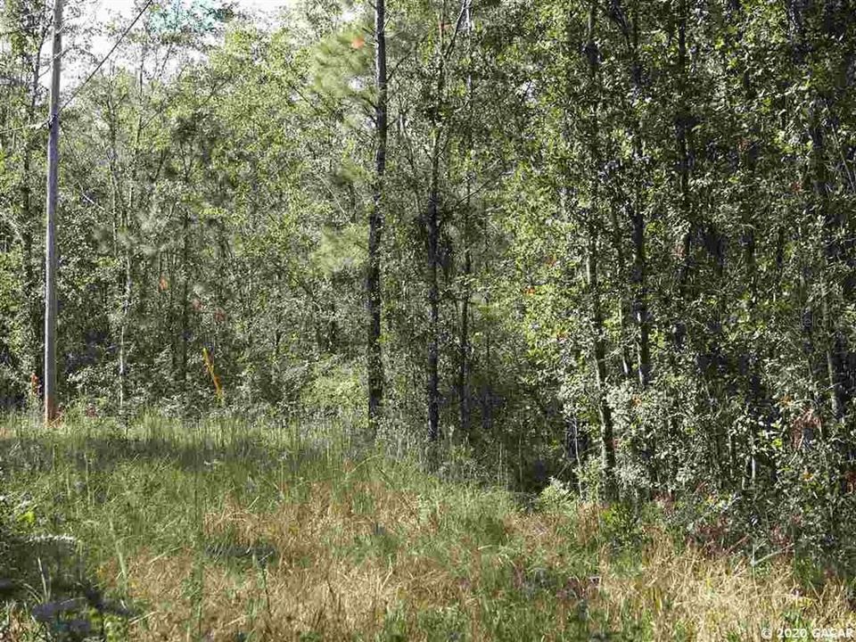 Vendido Recientemente: $41,500 (2.40 acres)