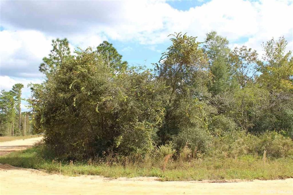 Vendido Recientemente: $10,000 (1.25 acres)